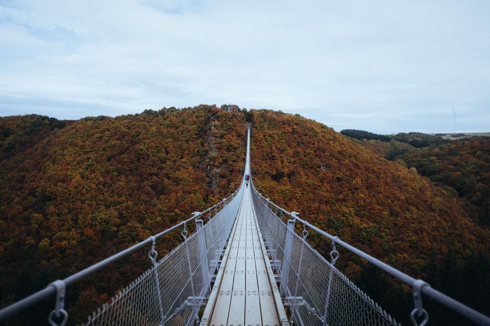 Free Image of Suspension bridge stretching across colorful autumnal trees 