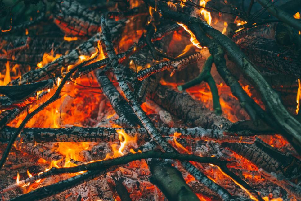 Free Image of Close-up of a campfire with burning wood and vibrant flames 