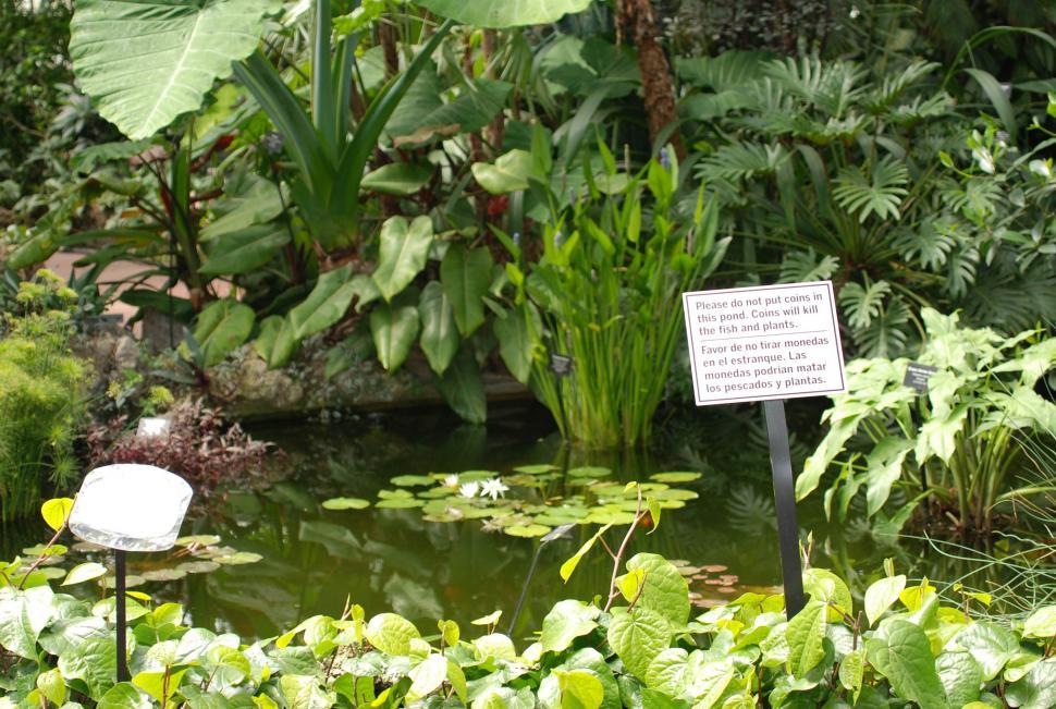 Free Image of Pond 