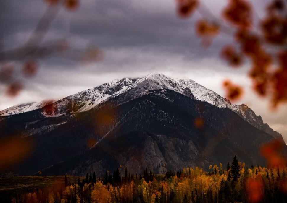 Free Image of Snowcapped mountain with autumn trees in foreground 