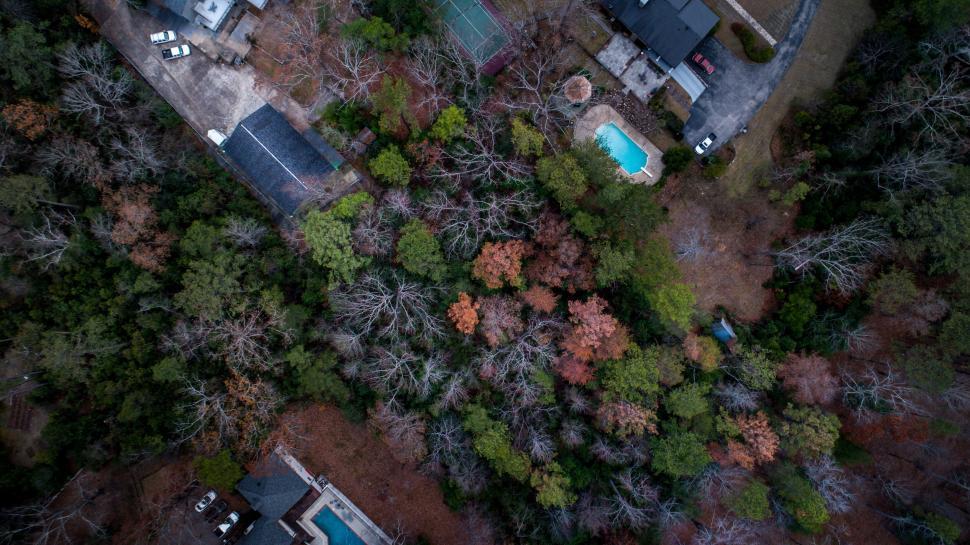 Free Image of Aerial view of trees among houses with swimming pools 
