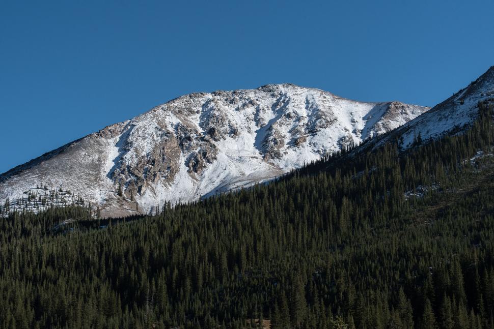 Free Image of Snowy mountain surrounded by dense green forest 
