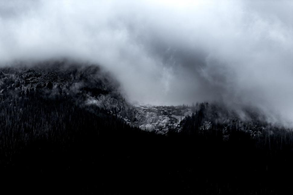 Free Image of Fog-covered rocky mountain peak surrounded by dense forest 
