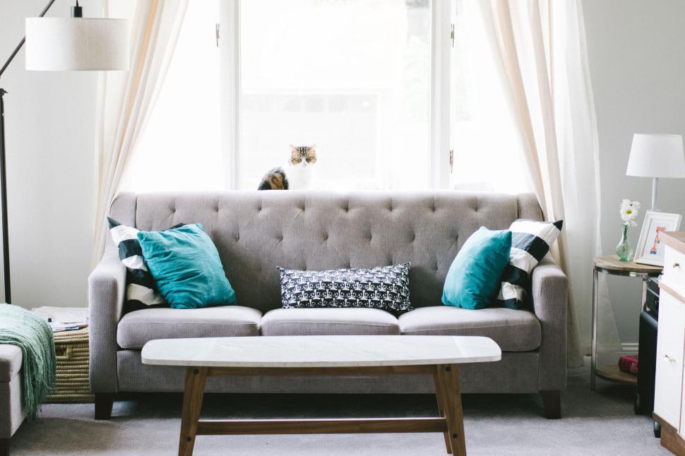 cozy-living-room-with-a-couch-and-a-cat-in-window.jpg