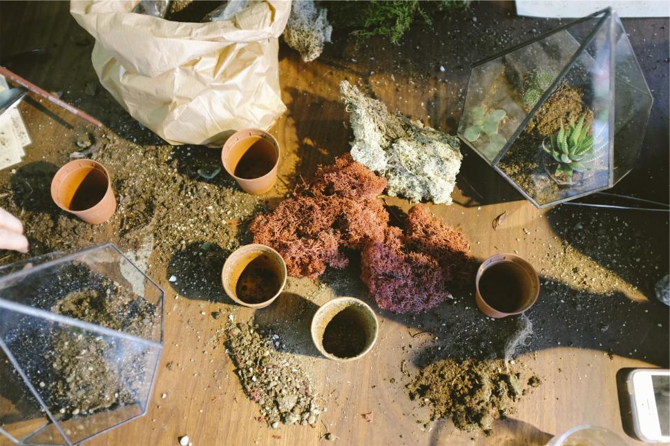 Free Image of A workshop space with succulents, pots, and soil. 