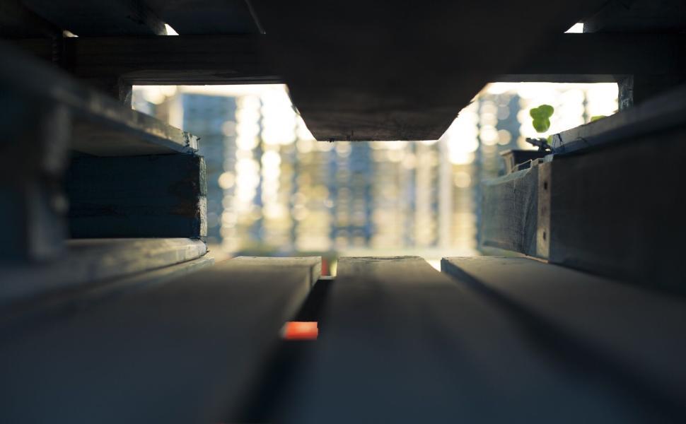 Free Image of View through wooden structure to a sunlit scenery beyond. 