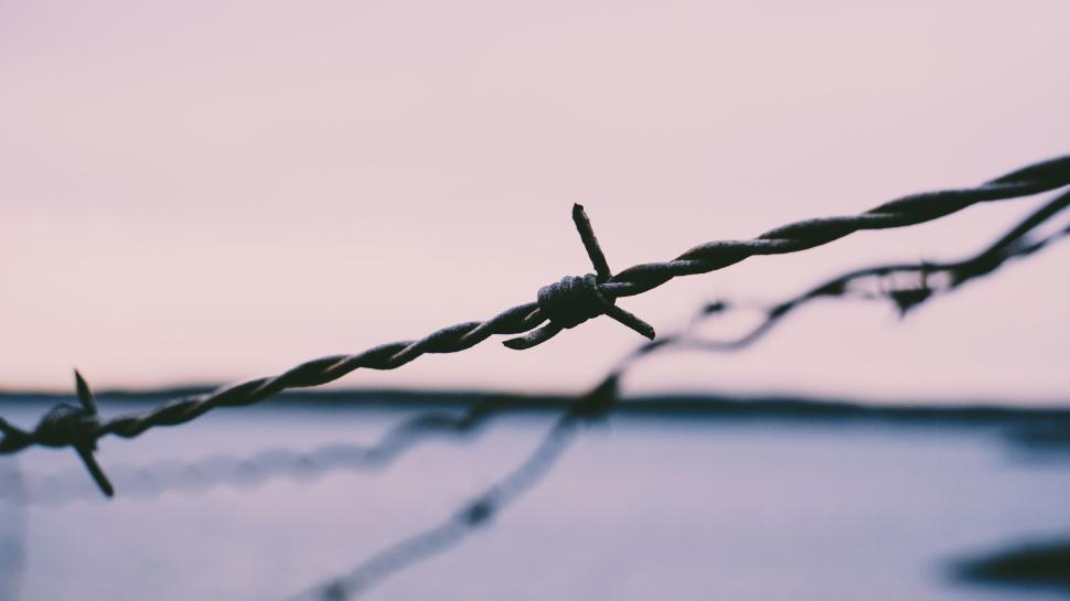 Free Image of Close-up of barbed wire with blurred background. 