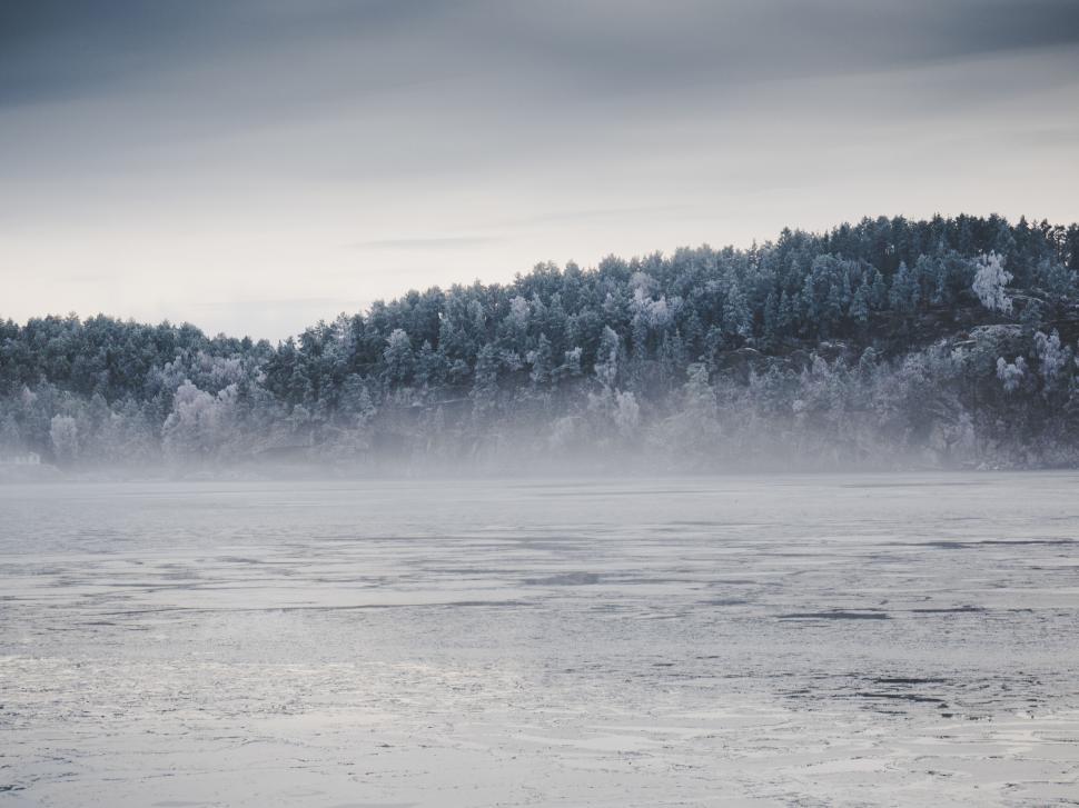 Free Image of Misty winter landscape with tree-covered hills. 
