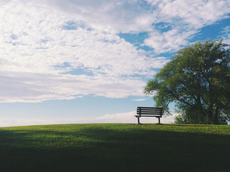 Free Image of Peaceful park scene with bench under a clear blue sky. 