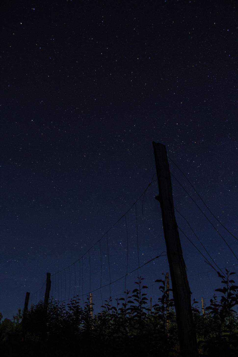 Free Image of Starry night sky with silhouette of rustic fence 