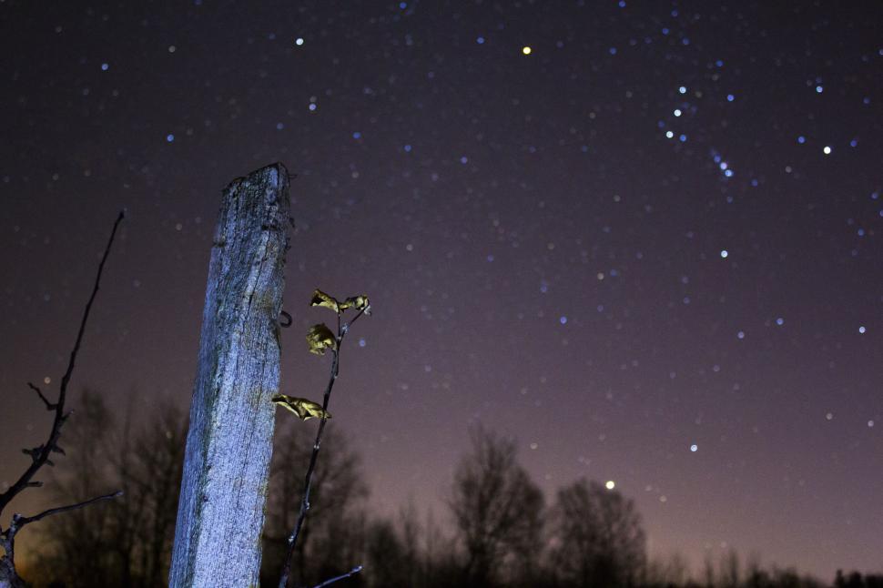 Free Image of Starry night sky with constellation over wooden post. 