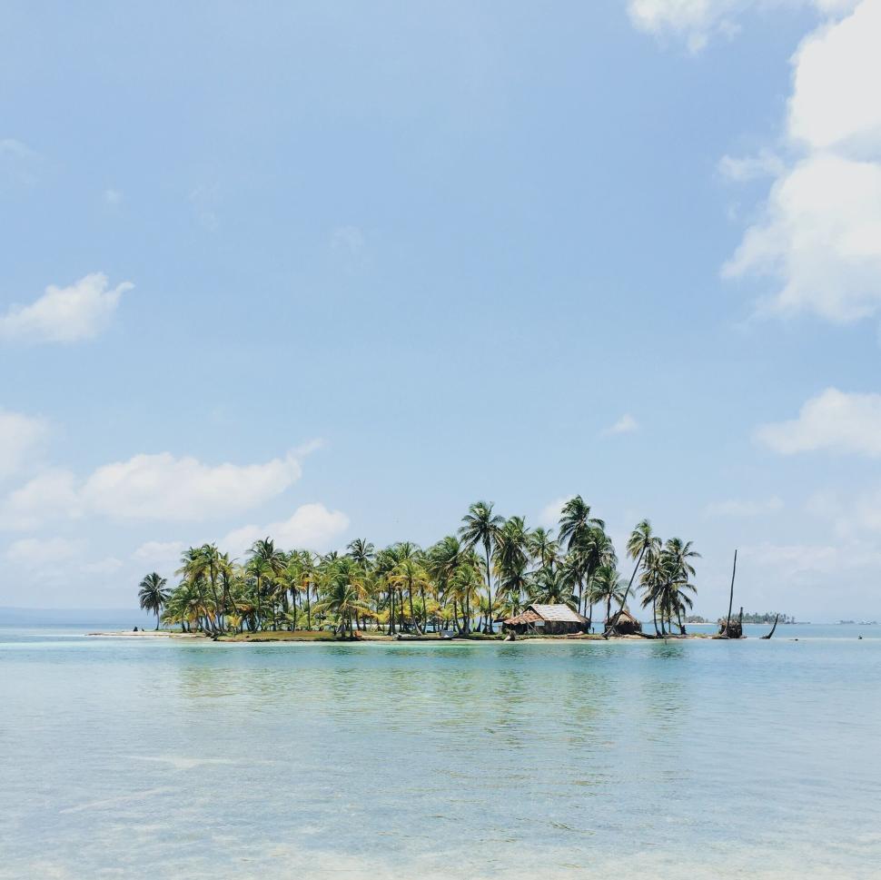 Free Image of Tiny tropical island with palm trees and clear water 