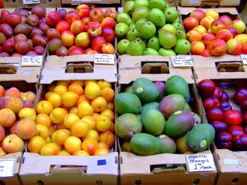 Farm Fresh Apples - Bulk Natural Foods