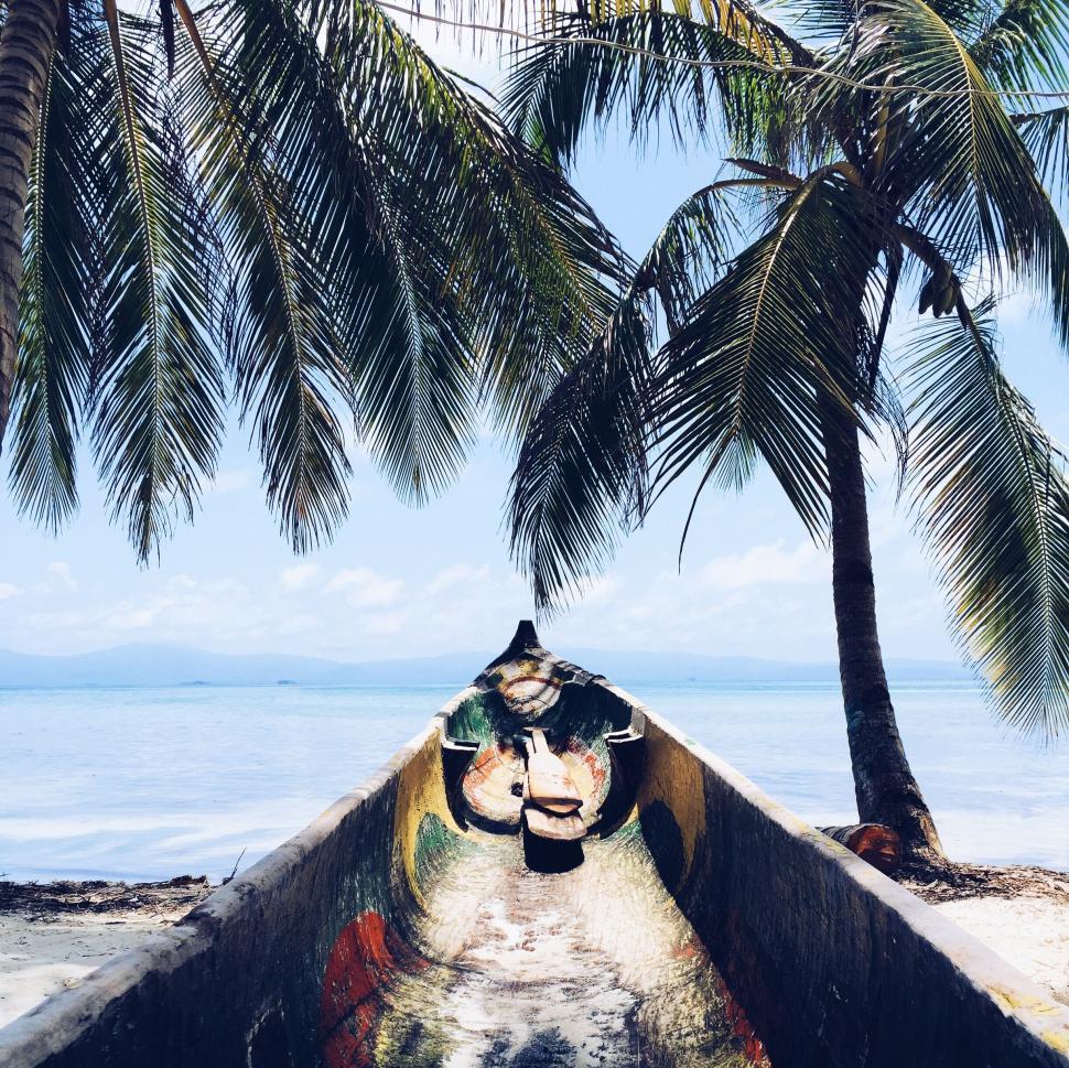 Free Image of Canoe nestled between palm trees on a tropical shore 
