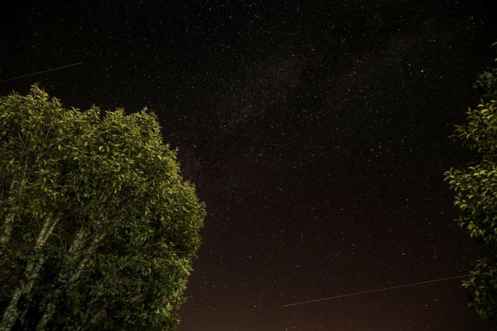 Free Image of Starry night sky with tree tops and streak of light 