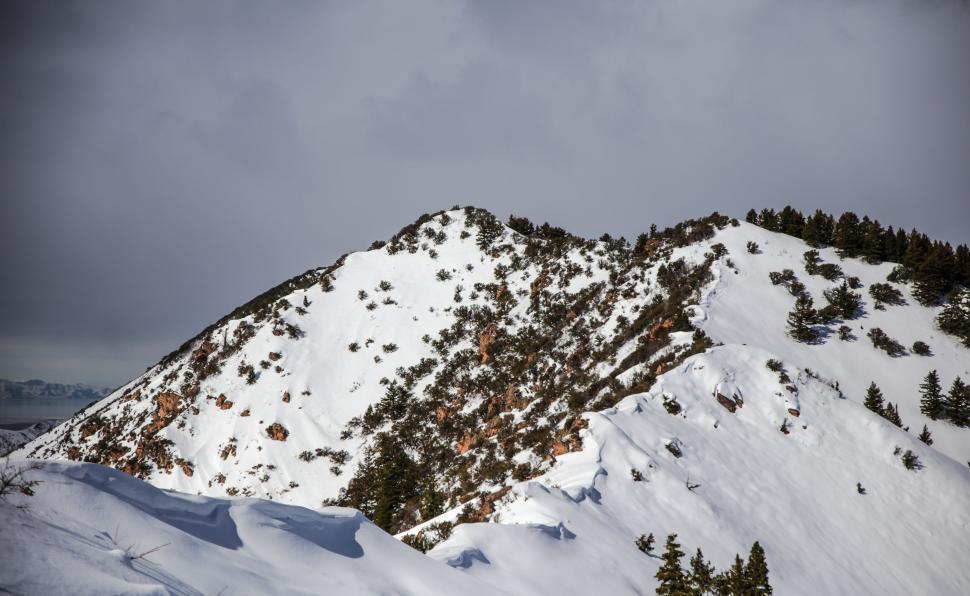 Free Image of Snow-covered hill with scattered evergreen trees 