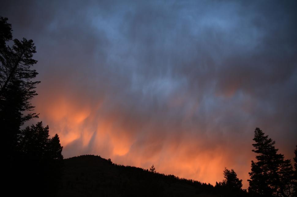 Free Image of Sunset over silhouetted trees and a cloudy sky 