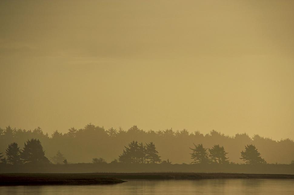 Free Image of Silhouetted trees against a foggy lake during dawn light 