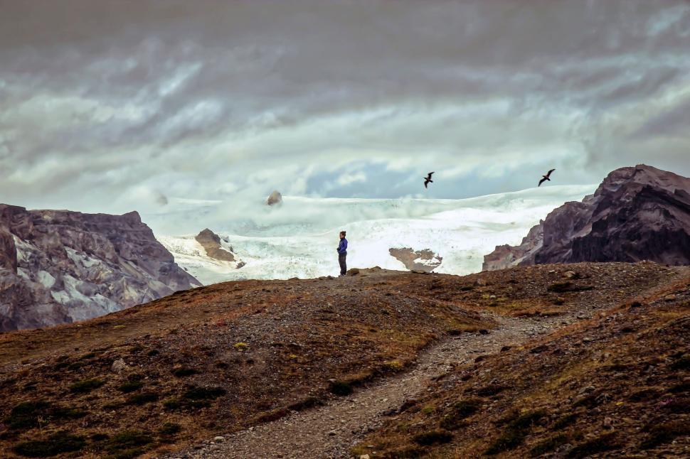 Free Image of Alone hiker admiring expansive glacier horizon with birds 