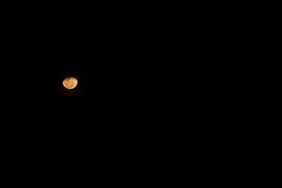 Free Stock Photo of A glowing orange moon in the dark night sky ...