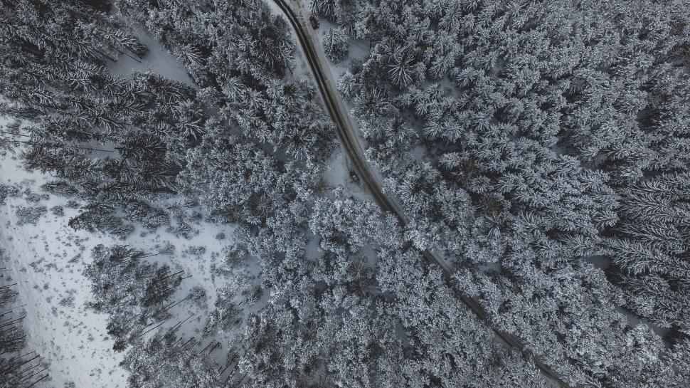 Free Image of Aerial view of a snow-covered forest with a winding road 