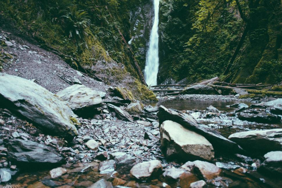 Free Image of Scenic waterfall amidst lush green forest landscape 