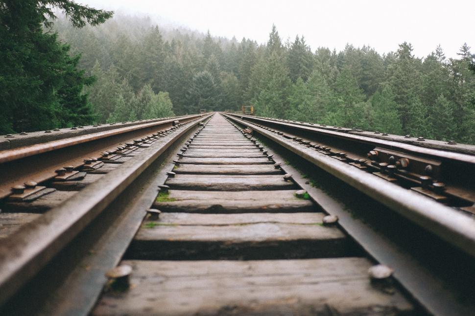 Free Image of Lonely railway track disappearing into dense green forest 