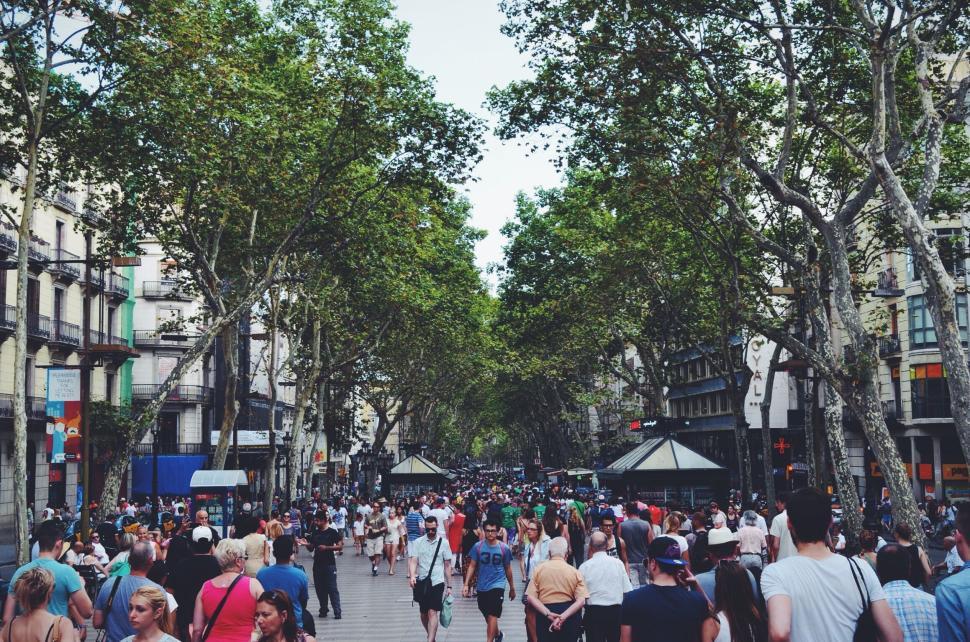 Free Image of Busy street filled with people under a tree canopy 