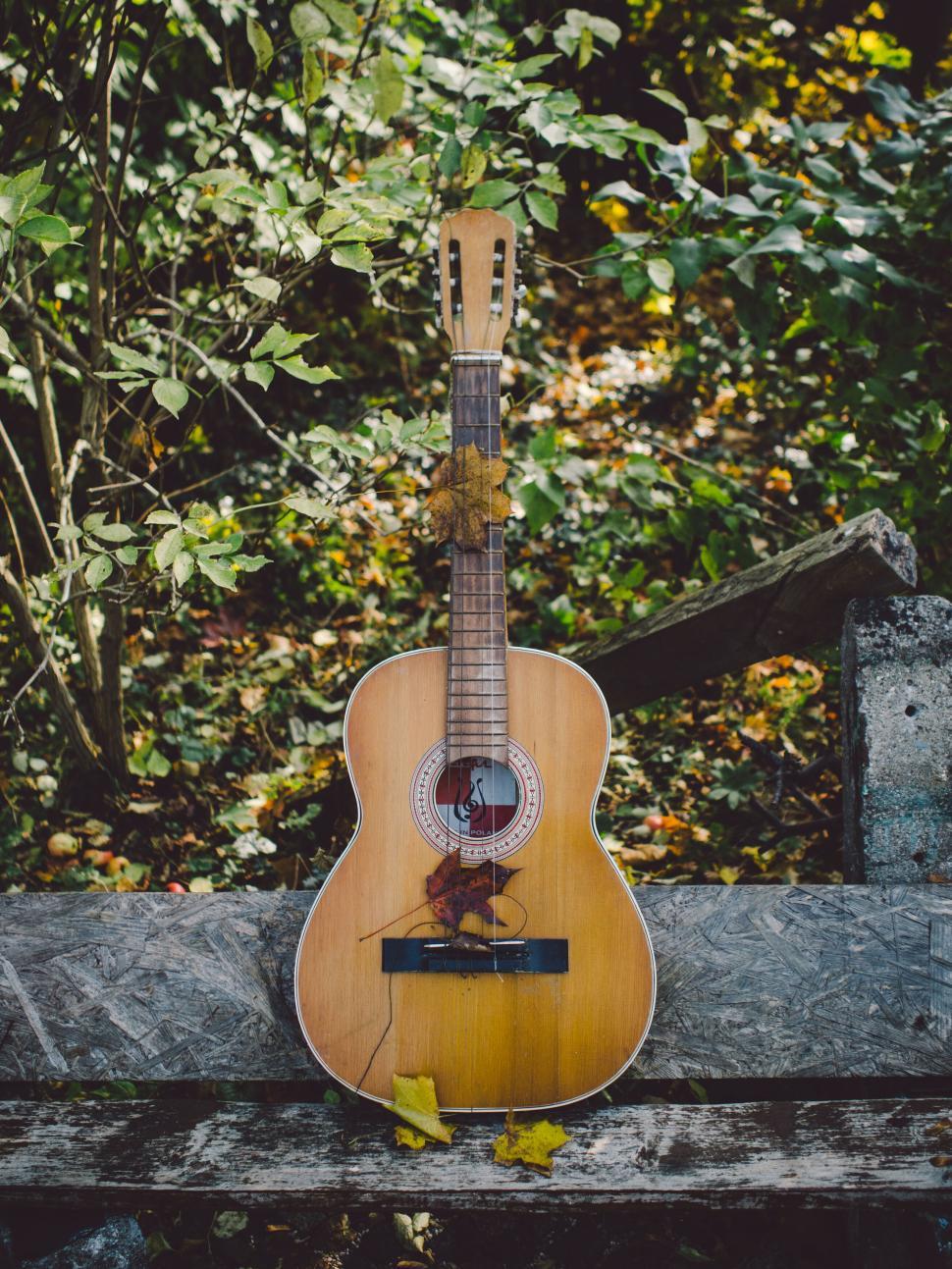 Free Image of Acoustic guitar decorated with autumn leaves outdoors 