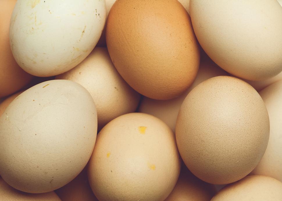 Free Image of Close-up of freshly laid eggs in various shades. 