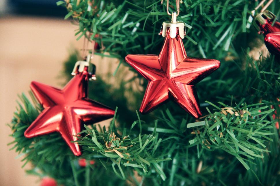 Free Image of Red star ornaments hanging on a Christmas tree branch. 