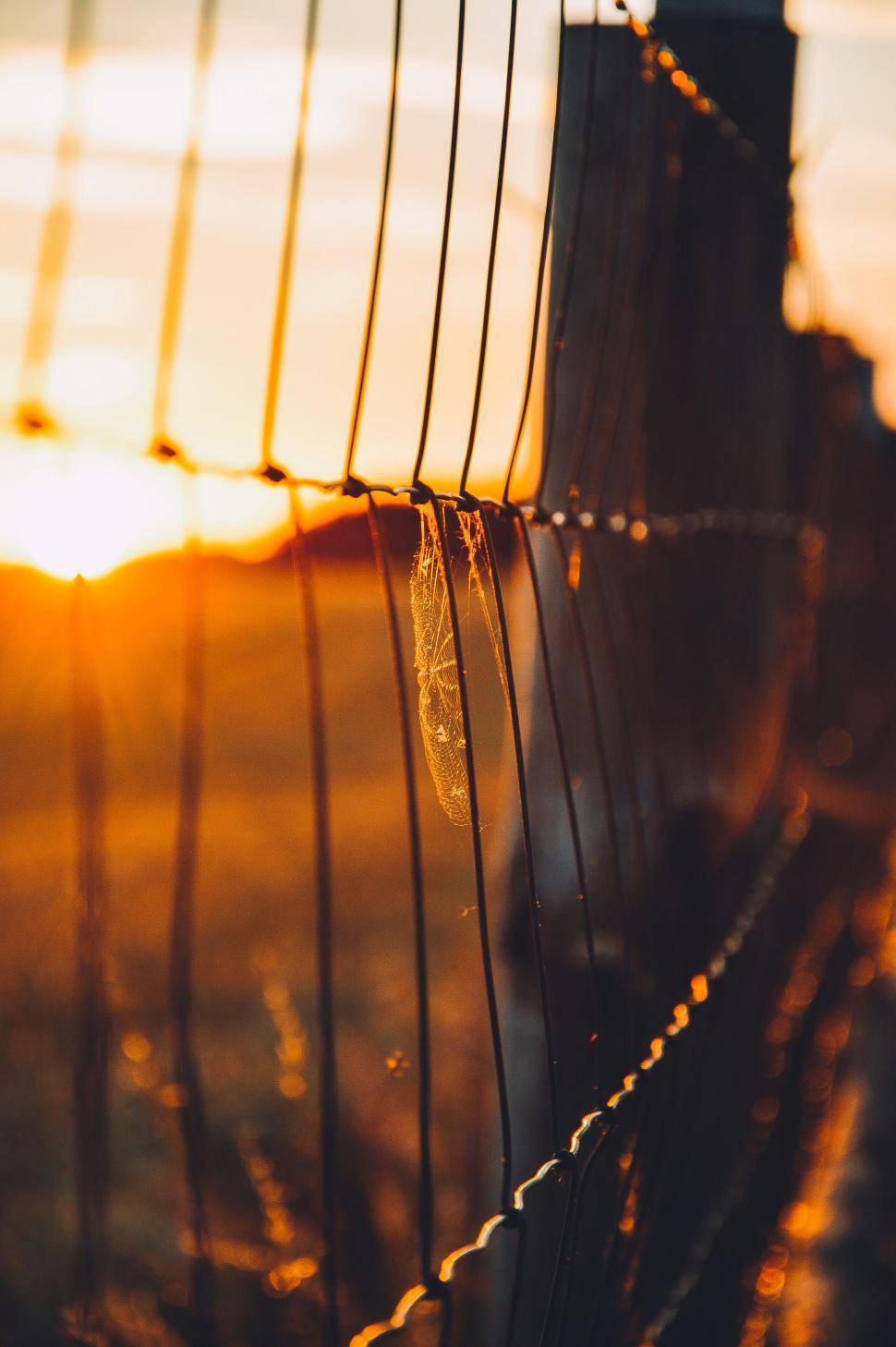 Free Image of Vintage wire fence at sunset with sun rays shining. 