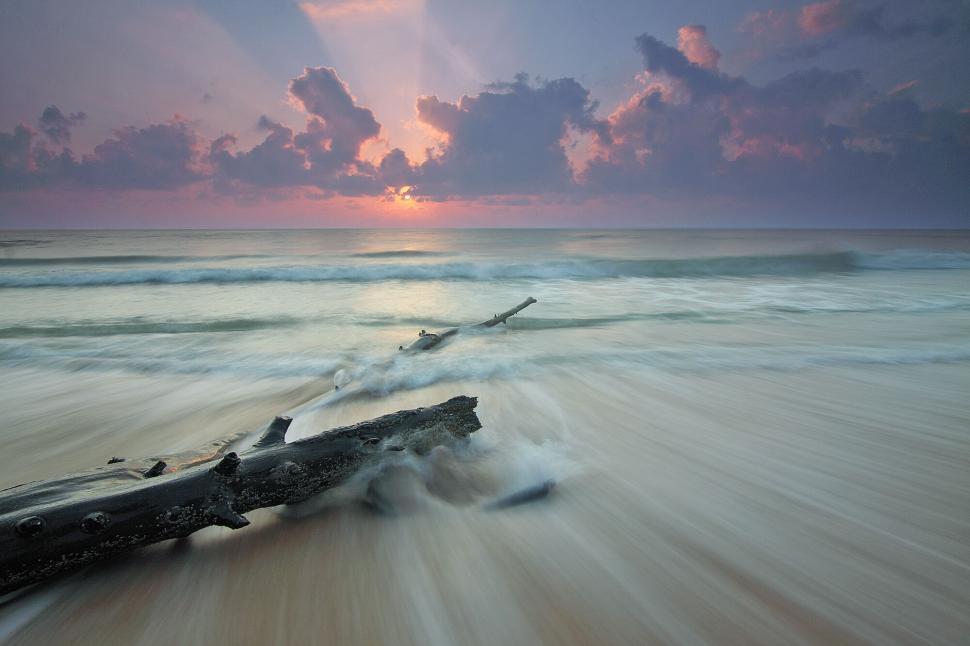 Free Image of Driftwood on beach with stunning vibrant sun setting 