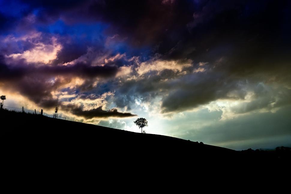 Free Image of Lone tree silhouetted on a hill under a dramatic sky 