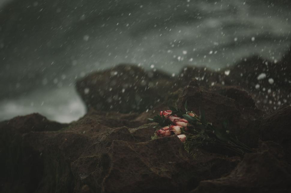 bouquet-of-roses-on-wet-rocks-amid-a-stormy-seascape..jpg