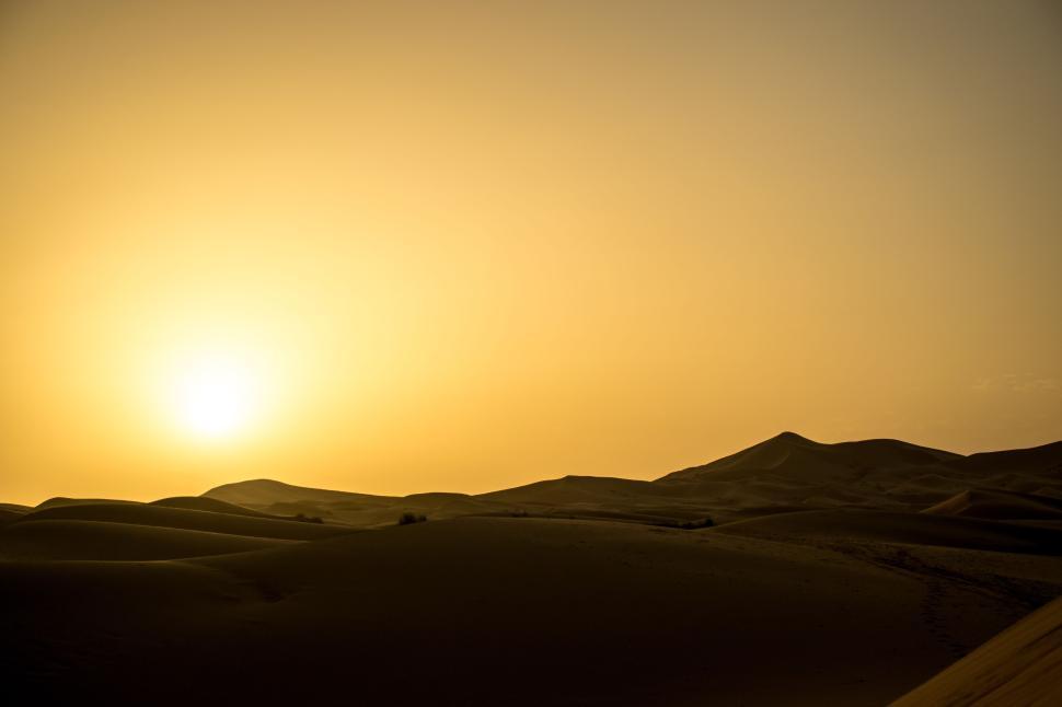 Free Image of Golden sunset over expansive sand dunes in the desert. 