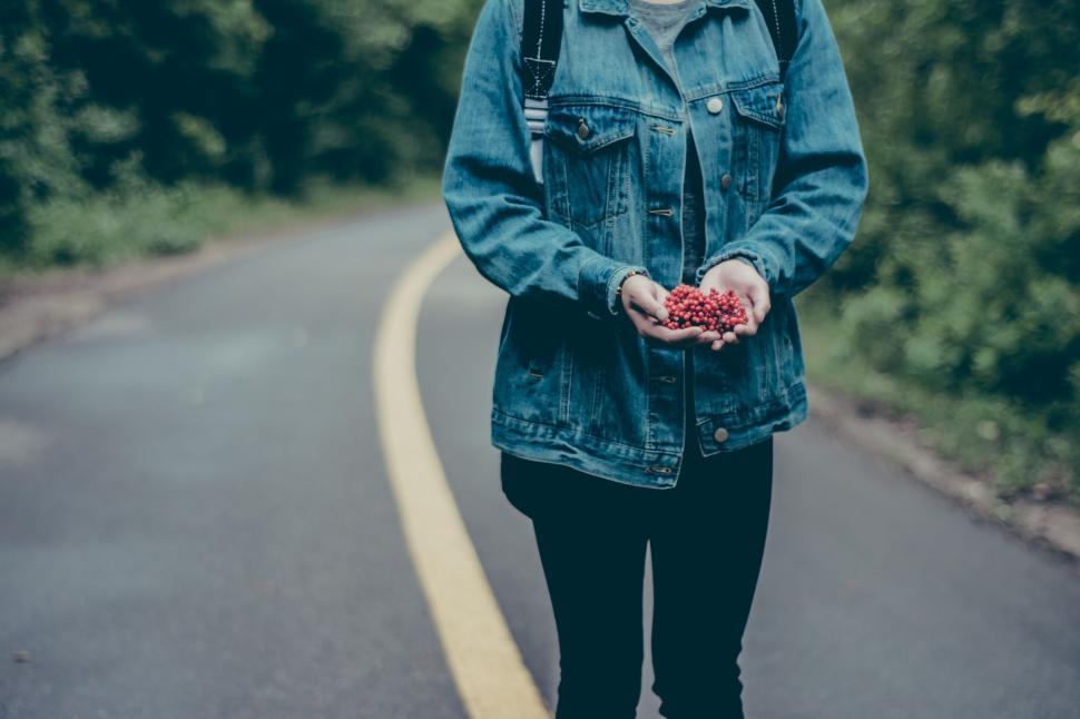 Free Image of Person with denim jacket holding red berries on a road. 