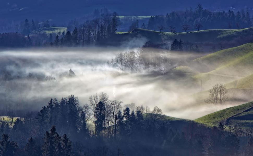 Free Image of Misty valley landscape with trees and rolling hills 