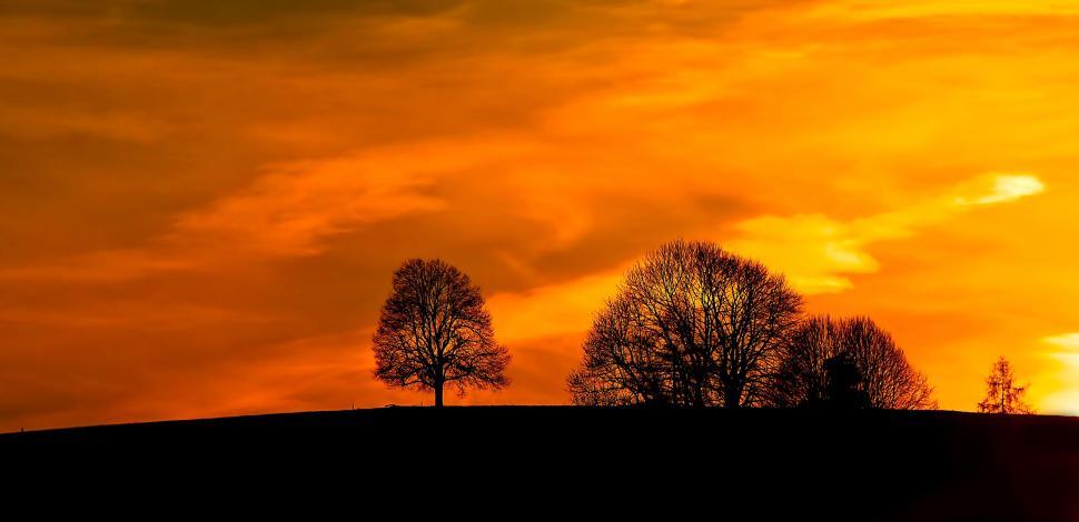 Free Image of Sunset scenery with bare trees against orange sky. 