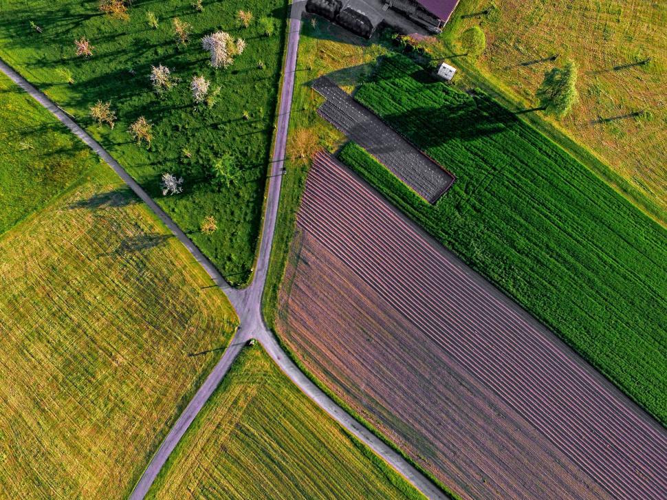 Free Image of Aerial view of fields and roads creating a cross shape. 