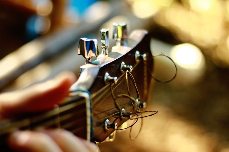 Free Image of Close-up of guitar headstock with strings and tuning pegs 