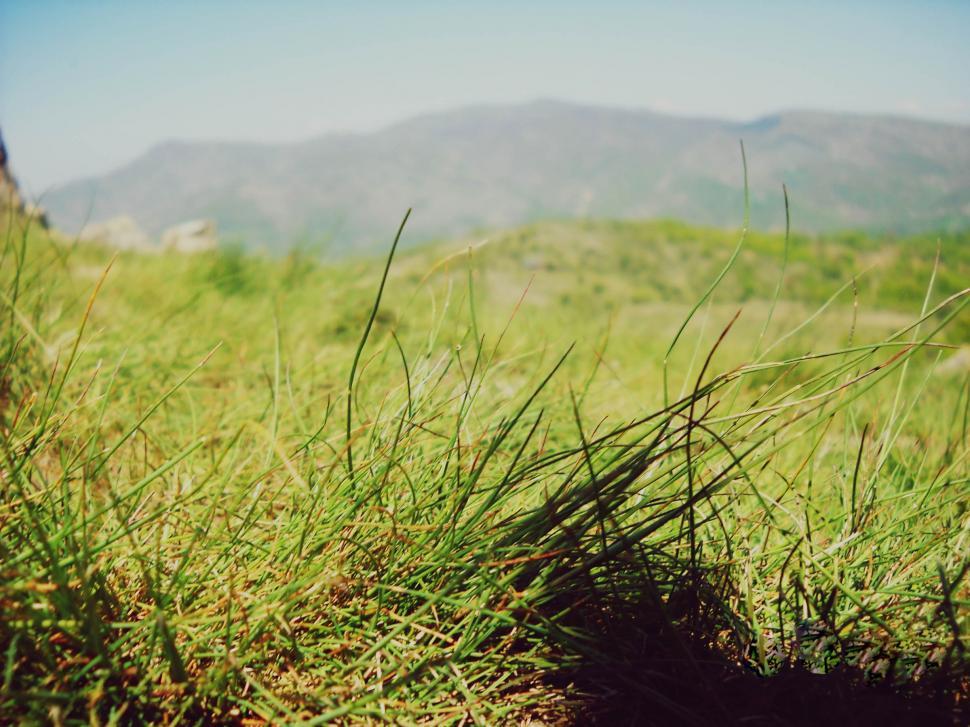 Free Image of Grassy Field With Mountains in the Background 
