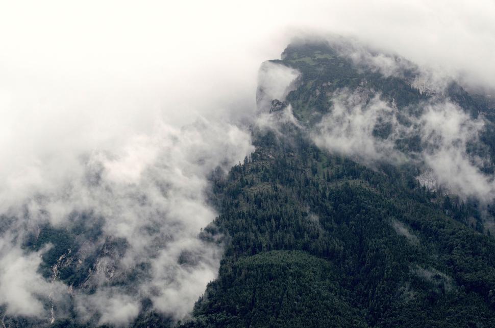 Free Image of Misty forest landscape with mountains covered in clouds 