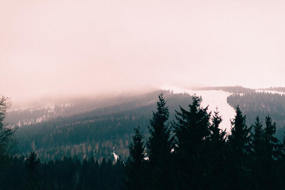 Free Image of Misty mountain landscape with lush green conifer trees 