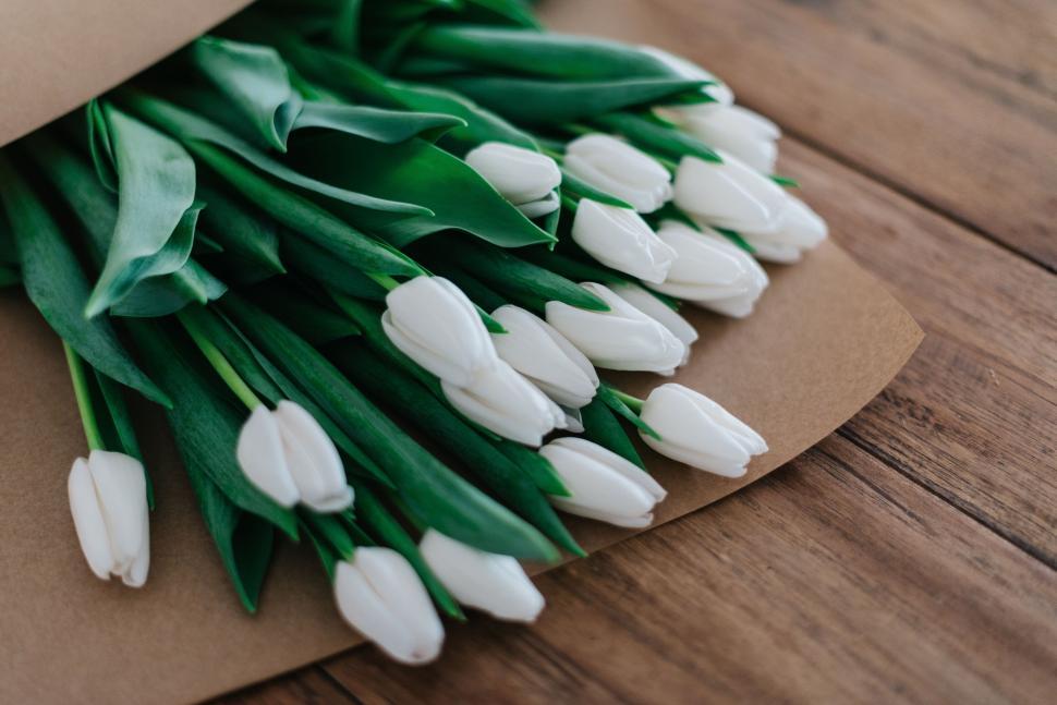 Free Image of Bundle of fresh white tulips wrapped in brown paper. 