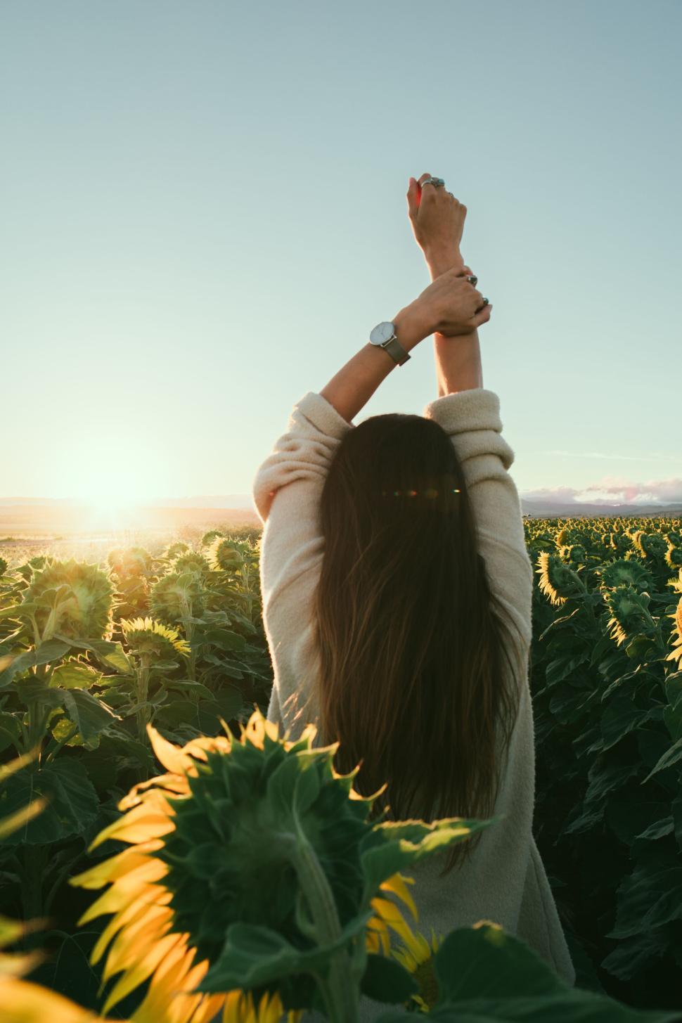 Free Image of Woman stretching in sunflower field during sunset. 