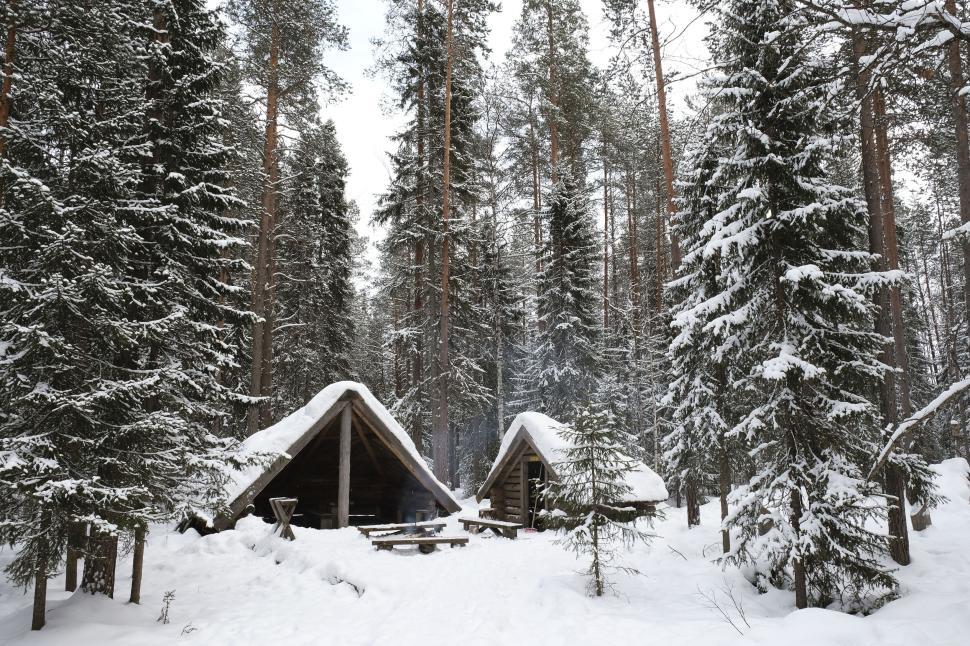 snow-covered-cabins-in-a-dense-forest-with-tall-trees..jpg