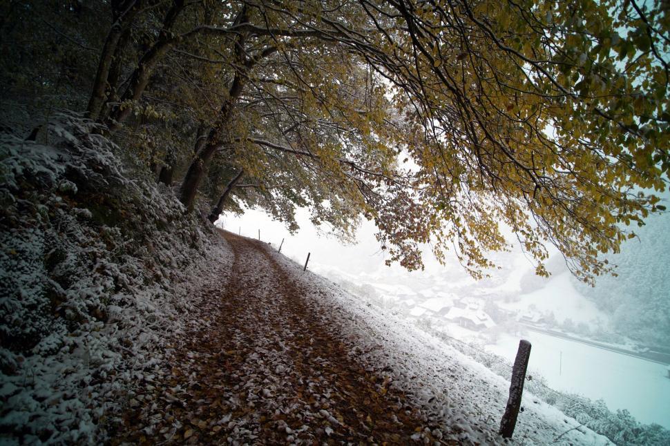 Free Image of Forest trail in fall with first snow covering the ground 