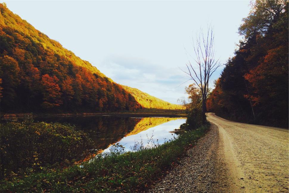 Free Image of Autumn landscape with winding road along a tranquil lake. 