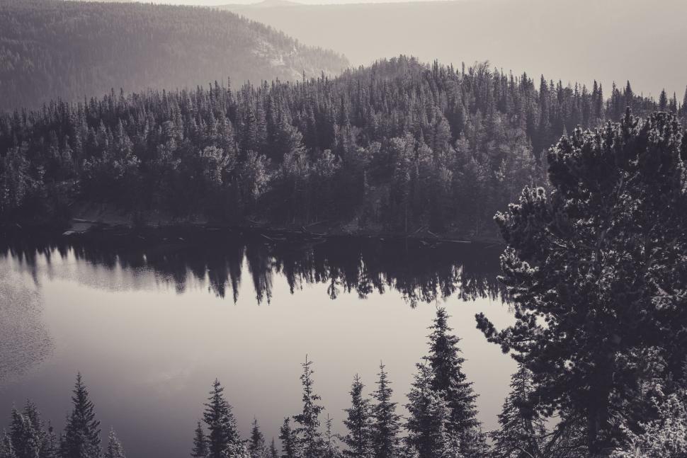 Free Image of Scenic view of a lake surrounded by dense forest trees 